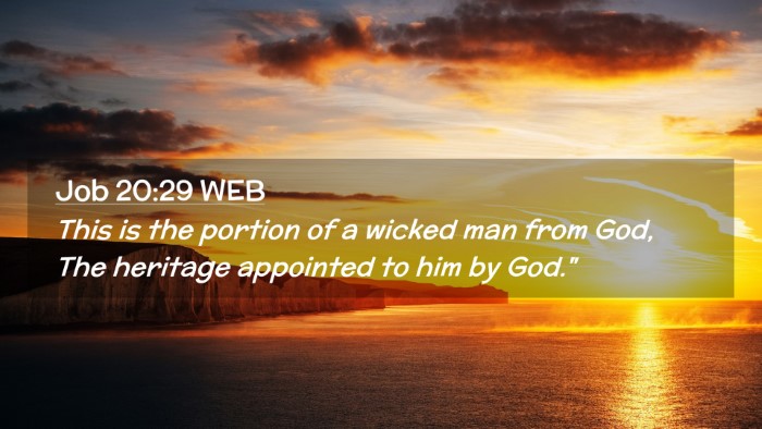 Picture 02 - Job 20:29 WEB Desktop Wallpaper - This is the portion of a wicked man from God, The - Desktop Bible Verse Wallpaper