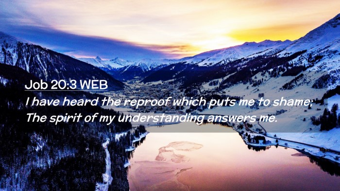 Picture 02 - Job 20:3 WEB Desktop Wallpaper - I have heard the reproof which puts me to shame; - Desktop Bible Verse Wallpaper
