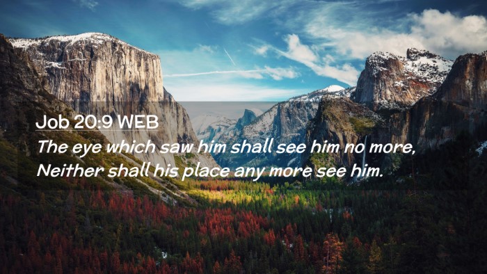 Picture 02 - Job 20:9 WEB Desktop Wallpaper - The eye which saw him shall see him no more, - Desktop Bible Verse Wallpaper