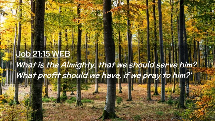 Picture 02 - Job 21:15 WEB Desktop Wallpaper - What is the Almighty, that we should serve him? - Desktop Bible Verse Wallpaper