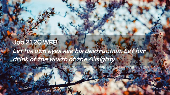 Picture 02 - Job 21:20 WEB Desktop Wallpaper - Let his own eyes see his destruction. Let him - Desktop Bible Verse Wallpaper