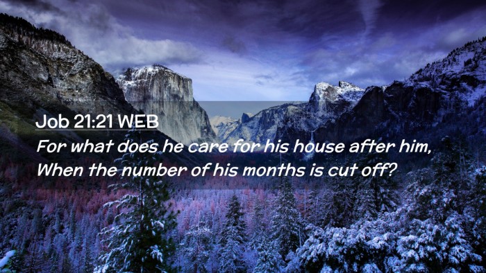 Picture 02 - Job 21:21 WEB Desktop Wallpaper - For what does he care for his house after him, - Desktop Bible Verse Wallpaper