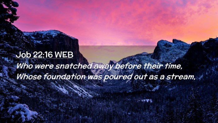 Picture 02 - Job 22:16 WEB Desktop Wallpaper - Who were snatched away before their time, Whose - Desktop Bible Verse Wallpaper