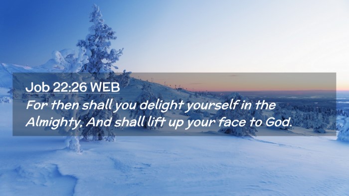 Picture 02 - Job 22:26 WEB Desktop Wallpaper - For then shall you delight yourself in the - Desktop Bible Verse Wallpaper