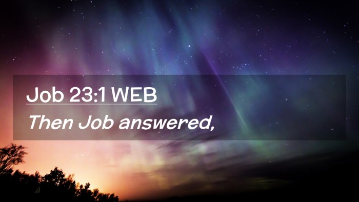 Picture 02 - Job 23:1 WEB Desktop Wallpaper - Then Job - Desktop Bible Verse Wallpaper