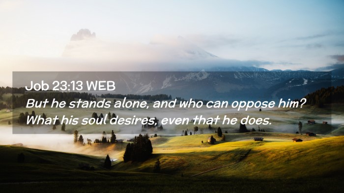 Picture 02 - Job 23:13 WEB Desktop Wallpaper - But he stands alone, and who can oppose him? What - Desktop Bible Verse Wallpaper
