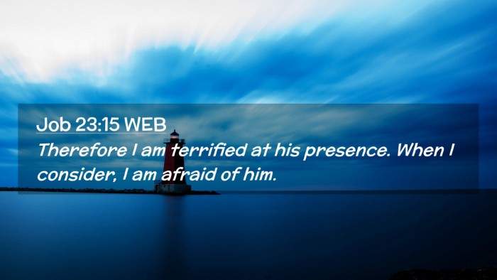 Picture 02 - Job 23:15 WEB Desktop Wallpaper - Therefore I am terrified at his presence. When I - Desktop Bible Verse Wallpaper