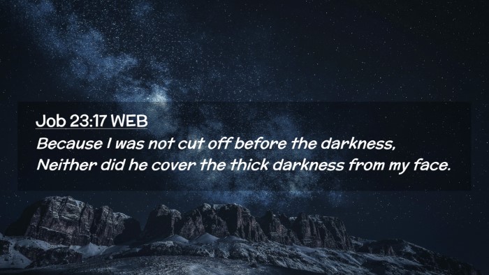 Picture 02 - Job 23:17 WEB Desktop Wallpaper - Because I was not cut off before the darkness, - Desktop Bible Verse Wallpaper