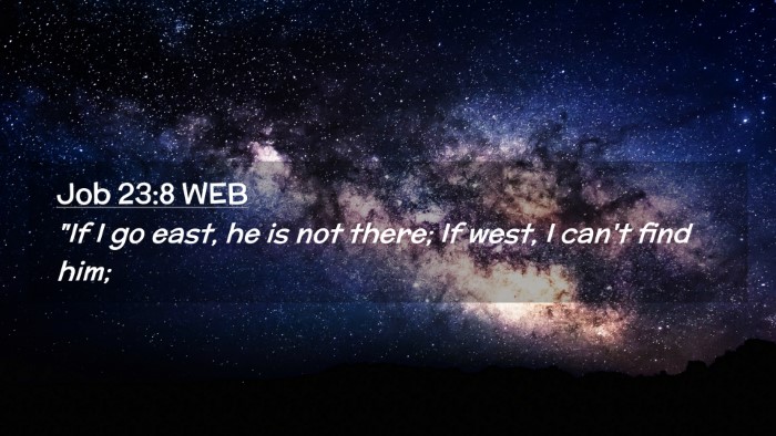 Picture 02 - Job 23:8 WEB Desktop Wallpaper - 