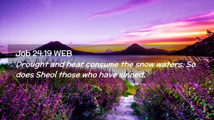 Picture 02 - Job 24:19 WEB Desktop Wallpaper - Drought and heat consume the snow waters; So does - Desktop Bible Verse Wallpaper