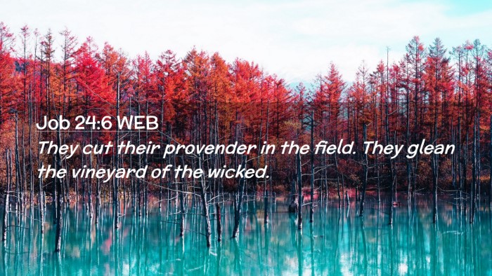 Picture 02 - Job 24:6 WEB Desktop Wallpaper - They cut their provender in the field. They glean - Desktop Bible Verse Wallpaper