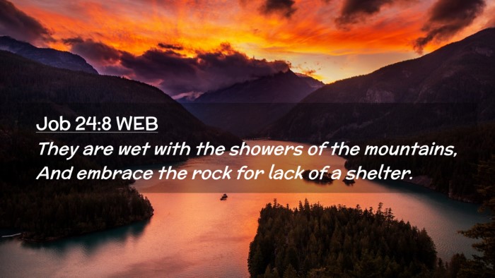 Picture 02 - Job 24:8 WEB Desktop Wallpaper - They are wet with the showers of the mountains, - Desktop Bible Verse Wallpaper