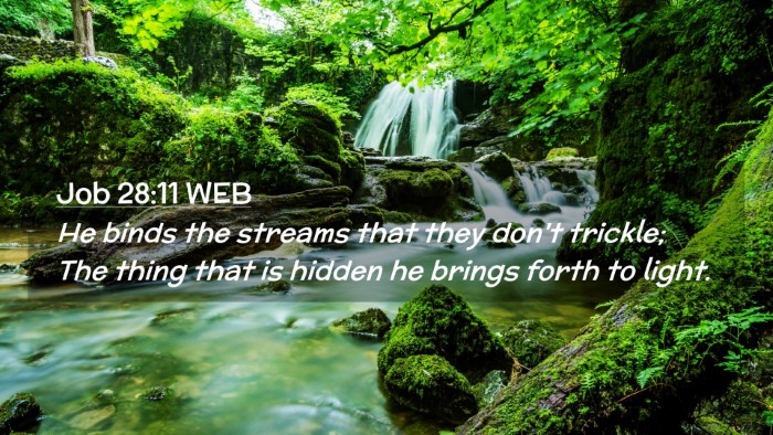 Picture 02 - Job 28:11 WEB Desktop Wallpaper - He binds the streams that they don't trickle; The - Desktop Bible Verse Wallpaper