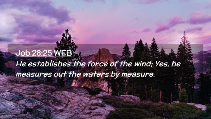 Picture 02 - Job 28:25 WEB Desktop Wallpaper - He establishes the force of the wind; Yes, he - Desktop Bible Verse Wallpaper