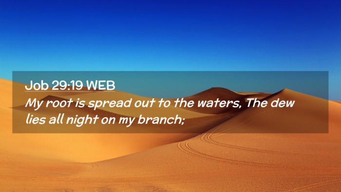 Picture 02 - Job 29:19 WEB Desktop Wallpaper - My root is spread out to the waters, The dew lies - Desktop Bible Verse Wallpaper
