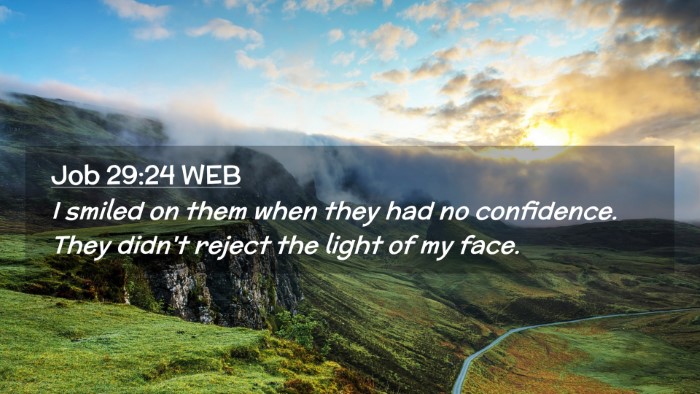 Picture 02 - Job 29:24 WEB Desktop Wallpaper - I smiled on them when they had no confidence. - Desktop Bible Verse Wallpaper