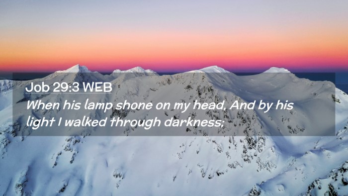Picture 02 - Job 29:3 WEB Desktop Wallpaper - When his lamp shone on my head, And by his light - Desktop Bible Verse Wallpaper