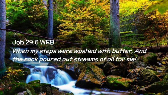 Picture 02 - Job 29:6 WEB Desktop Wallpaper - When my steps were washed with butter, And the - Desktop Bible Verse Wallpaper