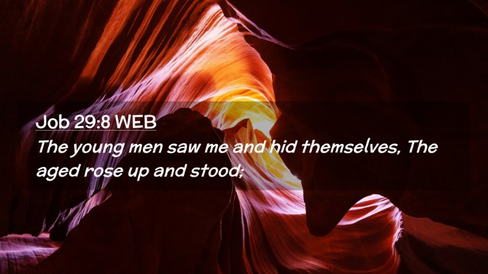 Picture 02 - Job 29:8 WEB Desktop Wallpaper - The young men saw me and hid themselves, The aged - Desktop Bible Verse Wallpaper
