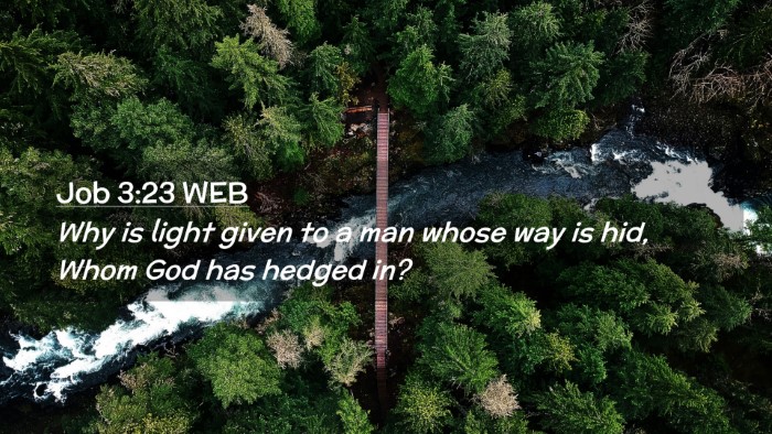 Picture 02 - Job 3:23 WEB Desktop Wallpaper - Why is light given to a man whose way is hid, - Desktop Bible Verse Wallpaper