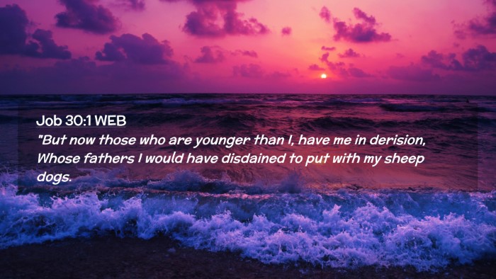 Picture 02 - Job 30:1 WEB Desktop Wallpaper - 