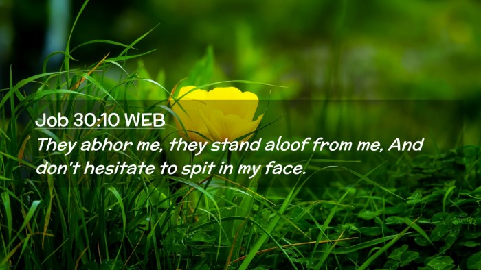 Picture 02 - Job 30:10 WEB Desktop Wallpaper - They abhor me, they stand aloof from me, And - Desktop Bible Verse Wallpaper