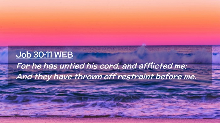 Picture 02 - Job 30:11 WEB Desktop Wallpaper - For he has untied his cord, and afflicted me; And - Desktop Bible Verse Wallpaper