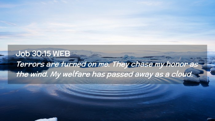 Picture 02 - Job 30:15 WEB Desktop Wallpaper - Terrors are turned on me. They chase my honor as - Desktop Bible Verse Wallpaper