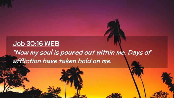 Picture 02 - Job 30:16 WEB Desktop Wallpaper - 