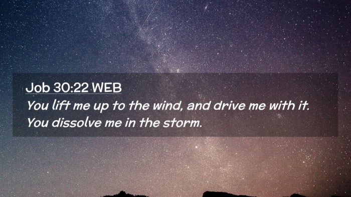 Picture 02 - Job 30:22 WEB Desktop Wallpaper - You lift me up to the wind, and drive me with it. - Desktop Bible Verse Wallpaper