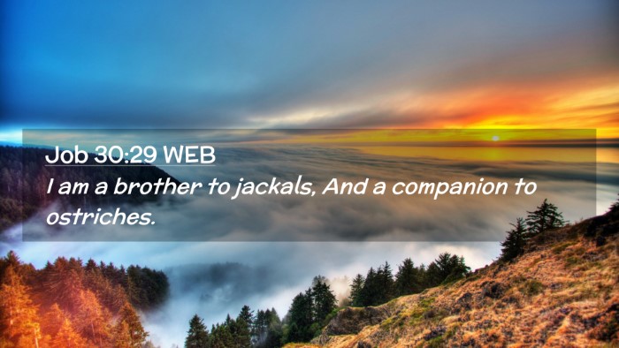 Picture 02 - Job 30:29 WEB Desktop Wallpaper - I am a brother to jackals, And a companion to - Desktop Bible Verse Wallpaper