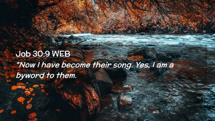 Picture 02 - Job 30:9 WEB Desktop Wallpaper - 