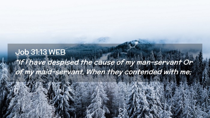 Picture 02 - Job 31:13 WEB Desktop Wallpaper - 