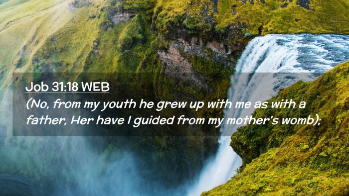 Picture 02 - Job 31:18 WEB Desktop Wallpaper - (No, from my youth he grew up with me as with a - Desktop Bible Verse Wallpaper