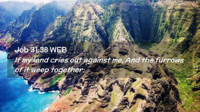 Picture 02 - Job 31:38 WEB Desktop Wallpaper - If my land cries out against me, And the furrows - Desktop Bible Verse Wallpaper