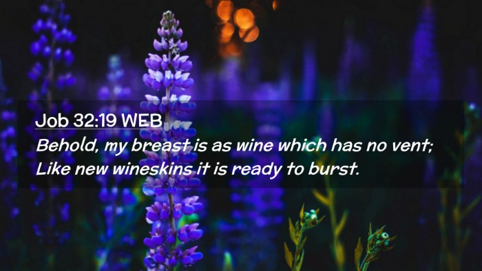 Picture 02 - Job 32:19 WEB Desktop Wallpaper - Behold, my breast is as wine which has no vent; - Desktop Bible Verse Wallpaper