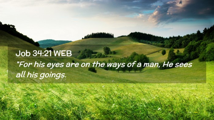 Picture 02 - Job 34:21 WEB Desktop Wallpaper - 