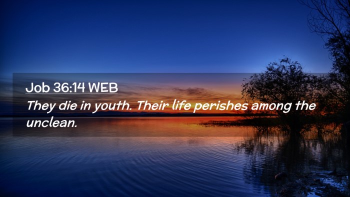 Picture 02 - Job 36:14 WEB Desktop Wallpaper - They die in youth. Their life perishes among the - Desktop Bible Verse Wallpaper