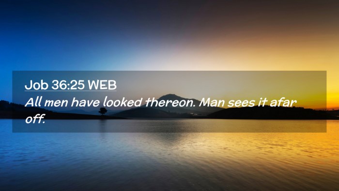 Picture 02 - Job 36:25 WEB Desktop Wallpaper - All men have looked thereon. Man sees it afar - Desktop Bible Verse Wallpaper
