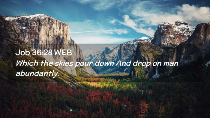 Picture 02 - Job 36:28 WEB Desktop Wallpaper - Which the skies pour down And drop on man - Desktop Bible Verse Wallpaper