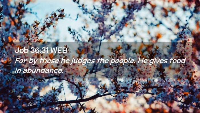 Picture 02 - Job 36:31 WEB Desktop Wallpaper - For by these he judges the people. He gives food - Desktop Bible Verse Wallpaper