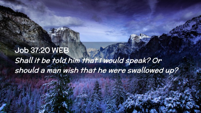 Picture 02 - Job 37:20 WEB Desktop Wallpaper - Shall it be told him that I would speak? Or - Desktop Bible Verse Wallpaper