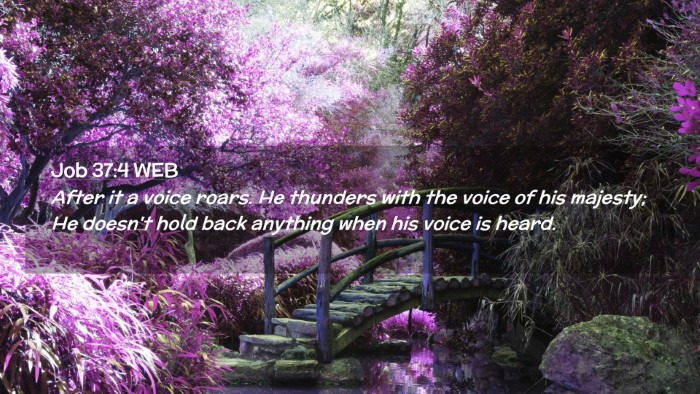 Picture 02 - Job 37:4 WEB Desktop Wallpaper - After it a voice roars. He thunders with the - Desktop Bible Verse Wallpaper