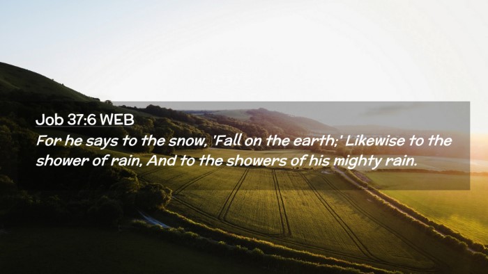 Picture 02 - Job 37:6 WEB Desktop Wallpaper - For he says to the snow, 'Fall on the earth;' - Desktop Bible Verse Wallpaper