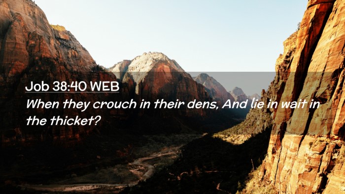 Picture 02 - Job 38:40 WEB Desktop Wallpaper - When they crouch in their dens, And lie in wait - Desktop Bible Verse Wallpaper