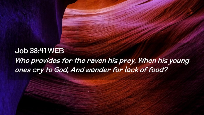 Picture 02 - Job 38:41 WEB Desktop Wallpaper - Who provides for the raven his prey, When his - Desktop Bible Verse Wallpaper