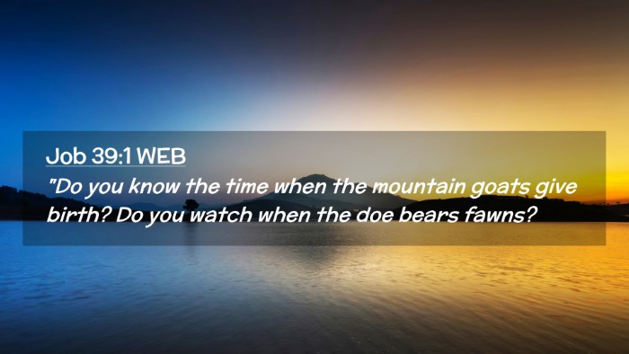 Picture 02 - Job 39:1 WEB Desktop Wallpaper - 