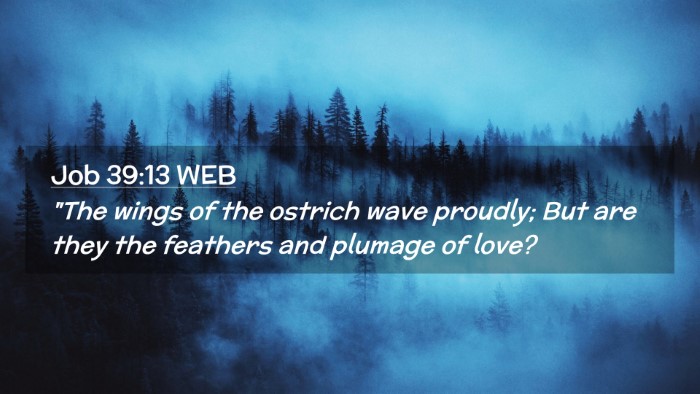 Picture 02 - Job 39:13 WEB Desktop Wallpaper - 