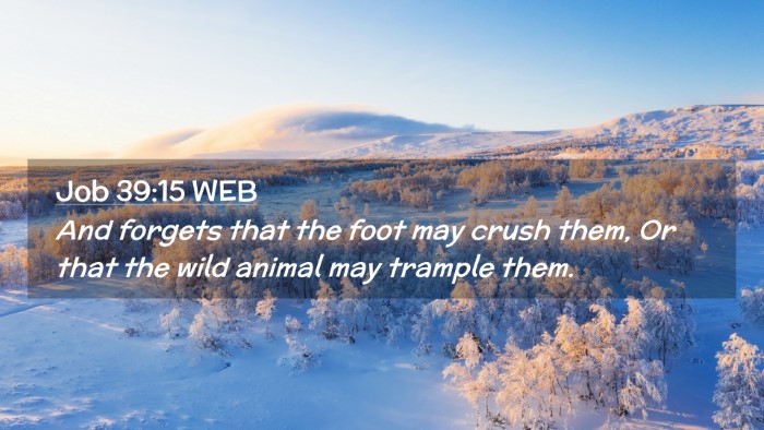 Picture 02 - Job 39:15 WEB Desktop Wallpaper - And forgets that the foot may crush them, Or that - Desktop Bible Verse Wallpaper