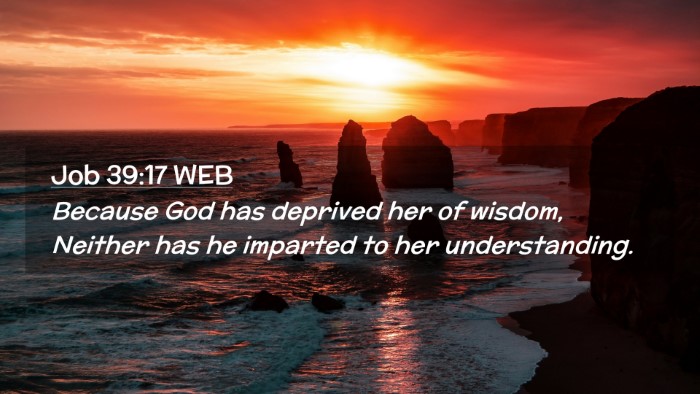 Picture 02 - Job 39:17 WEB Desktop Wallpaper - Because God has deprived her of wisdom, Neither - Desktop Bible Verse Wallpaper